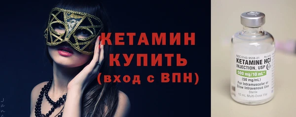 шишки Абаза