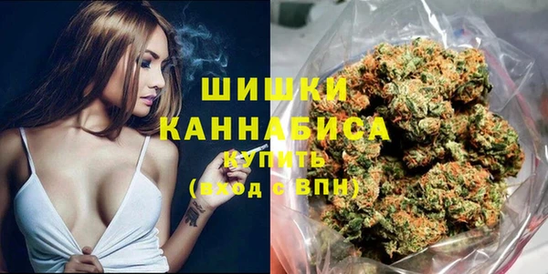шишки Абаза