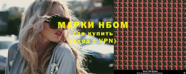 шишки Абаза
