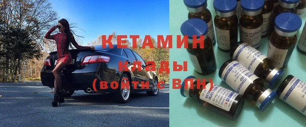 шишки Абаза