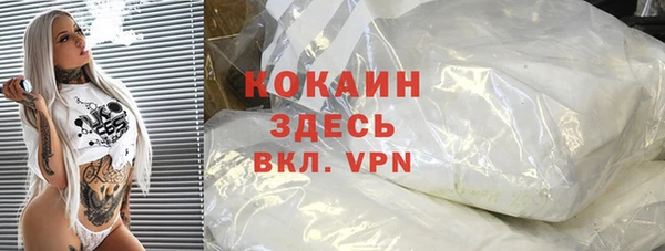 шишки Абаза